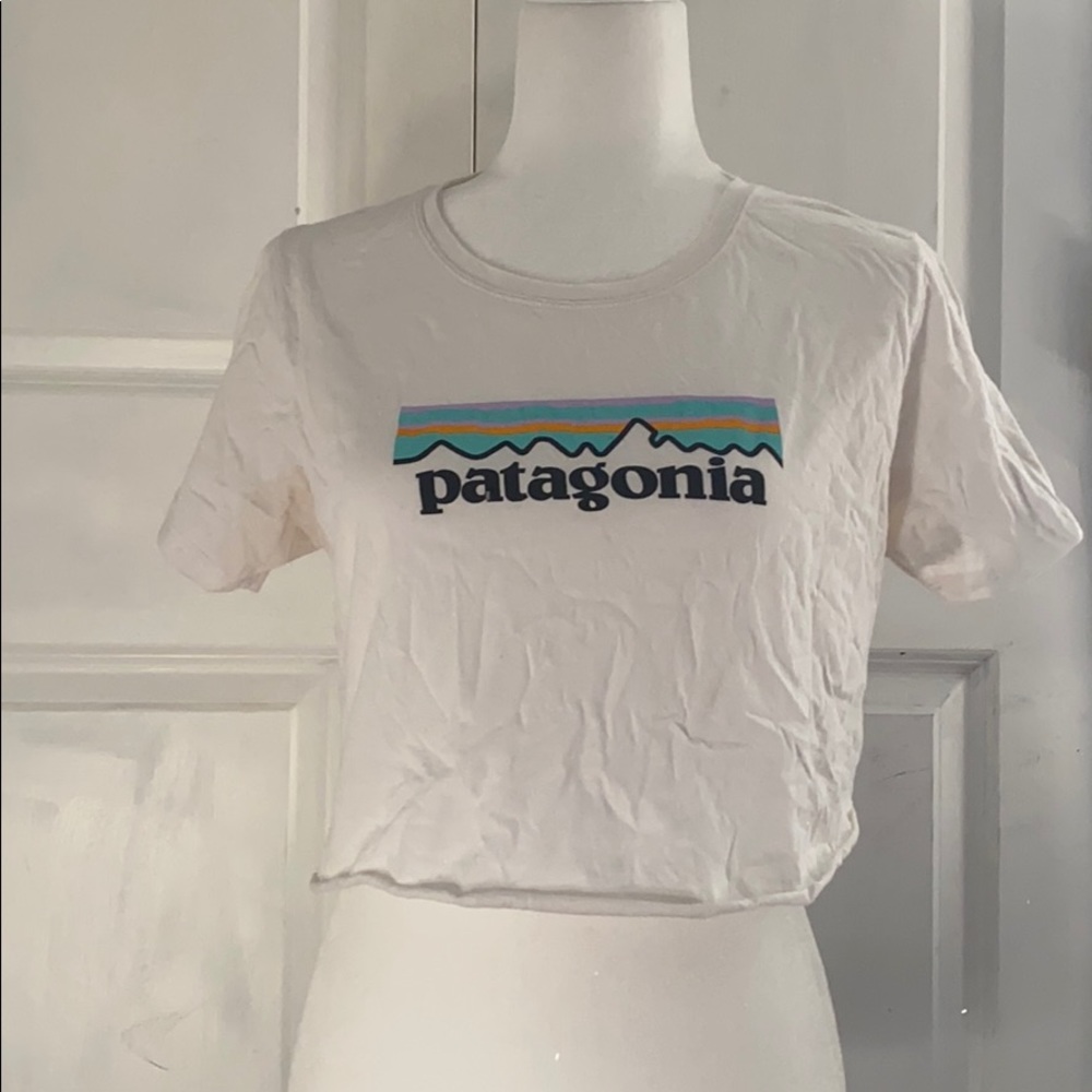 Custom Patagonia croptop